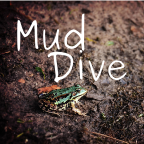 Mud Dive